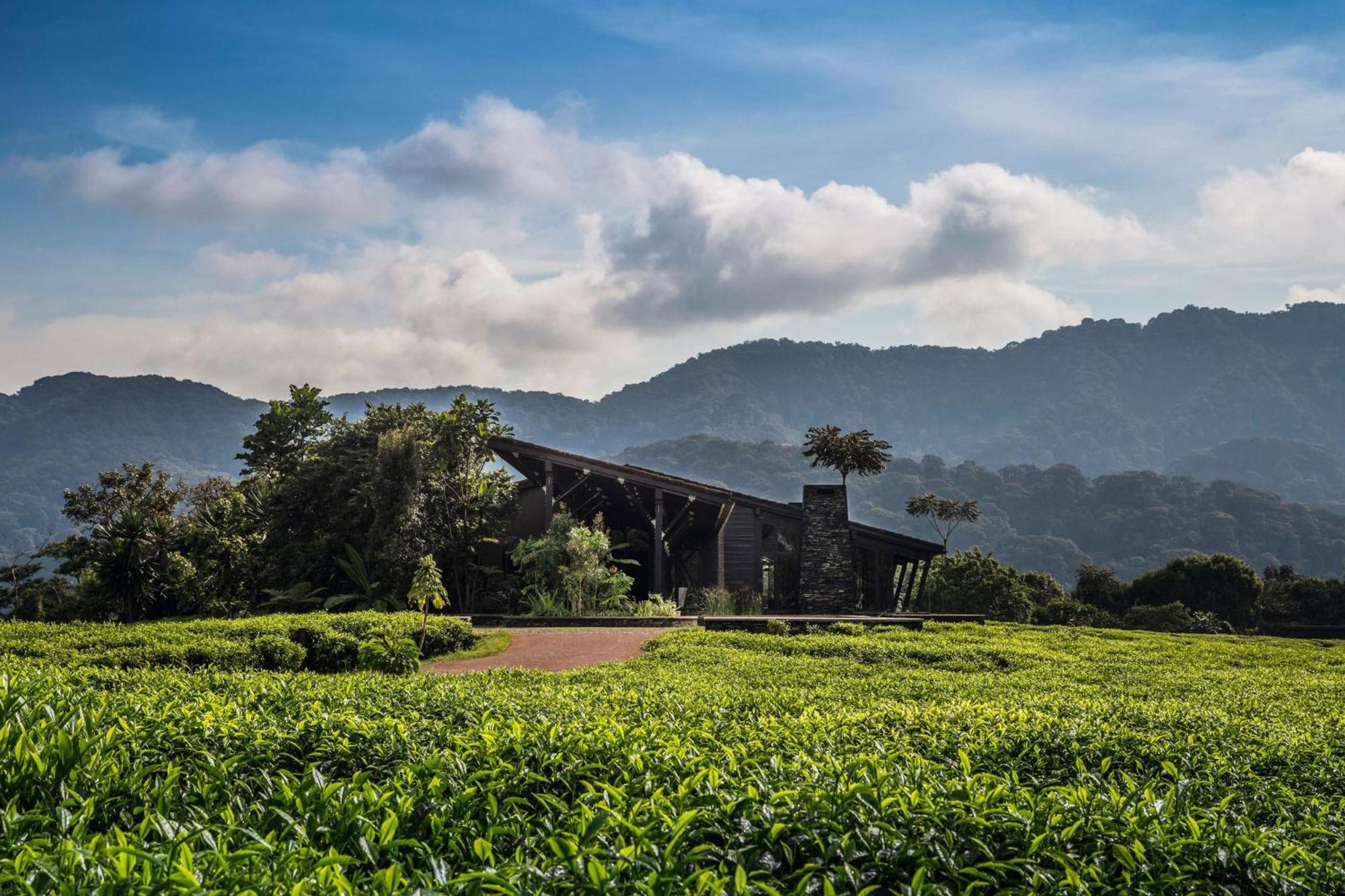 One&Only Nyungwe House Rwumba Exterior foto